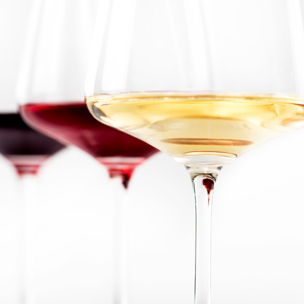 Accord mets & boissons | Terre Saline
