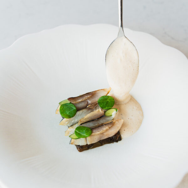 Coffret Terre Saline