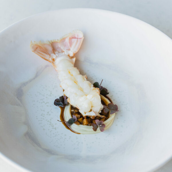 Coffret Terre de Nacre